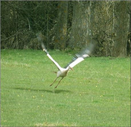 Hay que domar a la vida por la dulzura