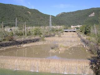 Miércoles Mudo Un Instante en el Recuerdo Miércoles Mudo Un Instante en el Recuerdo