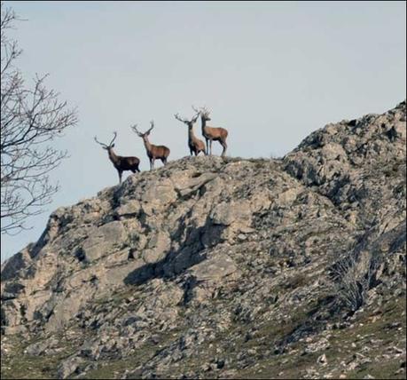 La discusión es una tierra estéril; todo lo mata