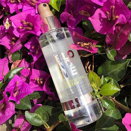 Refresca el Color de tu Cabello desde Casa y Sin Esfuerzo Refresca el Color de tu Cabello desde Casa y Sin Esfuerzo