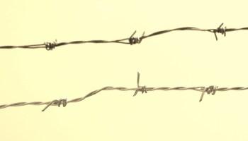 Un mundo sin anfitriones Un mundo sin anfitriones