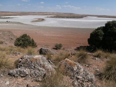 Cervantes. El Enigma del Quijote. Las 11 Anomalías Magnéticas de la mancha. Cervantes. El Enigma del Quijote. Las 11 Anomalías Magnéticas de la mancha.