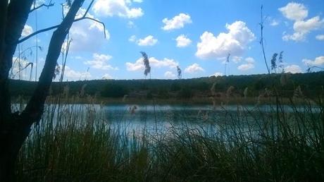 Cervantes. El Enigma del Quijote. Las 11 Anomalías Magnéticas de la mancha. Cervantes. El Enigma del Quijote. Las 11 Anomalías Magnéticas de la mancha.