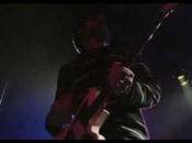 Surfin´ Bichos hermano carnal Fuerte"