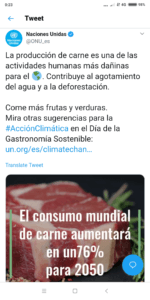 Alemania, la ONU, la carne y la última cruzada (ecología)