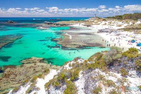 Rottnest-Island-Western-Australia-261 ▷ Comente sobre los 20 mejores lugares en Australia para su lista de deseos de Australia en automóvil - Las 5 cosas más importantes a considerar »