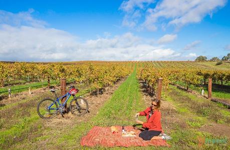 Jacobs-Creek-Barossa-Valley-South-Australia-302 ▷ Comente sobre los 20 mejores lugares en Australia para su lista de deseos de Australia en automóvil - Las 5 cosas más importantes a considerar »