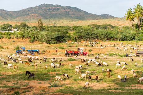 andhra_pradesh ▷ 17 regiones más bellas de la India