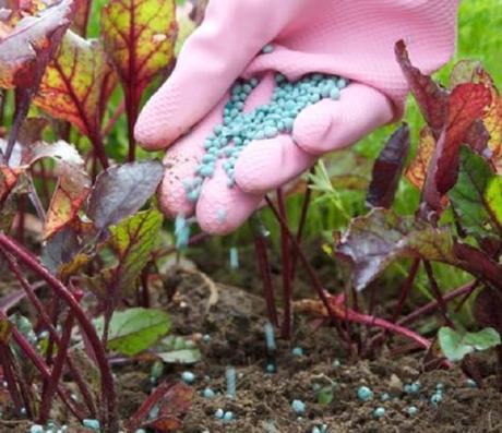 Resultado de imagen para FERTILIZANTES Y ABONOS