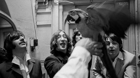 Helter Skelter: 50 años de los asesinatos de la Familia Manson. Helter Skelter: 50 años de los asesinatos de la Familia Manson.
