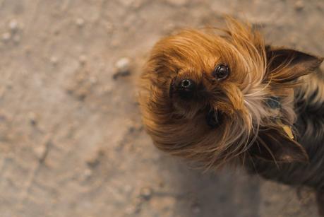 PANTALONES CARGO+BLUSA BOHO+SUPER HAUL DE ZARA