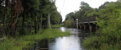 Withlacooche River en Marion y Citrus