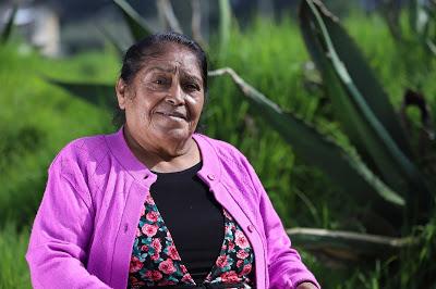 REGISTRA EDOMÉX REDUCCIÓN DE LA POBREZA Y AVANCES EN DESARROLLO SOCIAL Y HUMANO