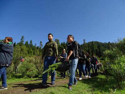 PLANTAN EN EDOMÉX 190 MIL ÁRBOLES EN JORNADAS DE REFORESTACIÓN SOCIAL