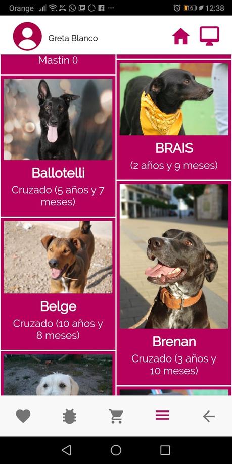 Lanzamiento de Animalove, la única app movil del mundo solidaria con las protectoras de animales