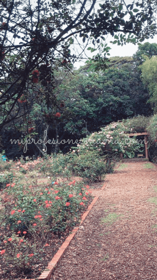 Jardín Botánico José Celestino Mutis 8 (1) (1)