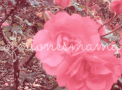 Jardín Botánico José Celestino Mutis