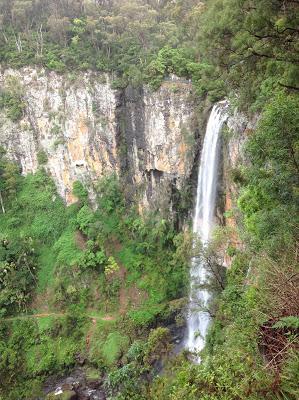 SPRINGBROOK NATIONAL PARK SPRINGBROOK NATIONAL PARK