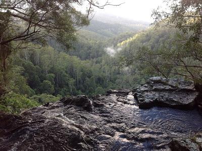 SPRINGBROOK NATIONAL PARK SPRINGBROOK NATIONAL PARK
