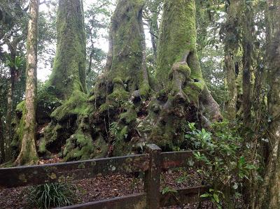 SPRINGBROOK NATIONAL PARK SPRINGBROOK NATIONAL PARK