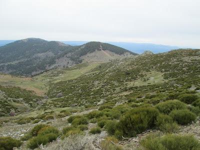 CASTAÑAR DE EL TEIMBLO