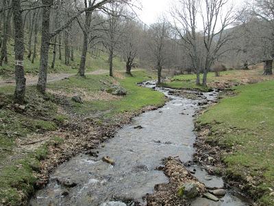 CASTAÑAR DE EL TEIMBLO