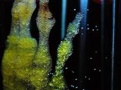 Órganos bioartificiales: futuro trasplantes según Tesarik