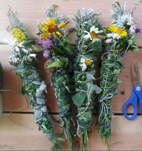 9 hierbas que puedes usar como incienso incienso herbal