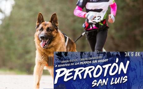 Todo listo para el Perrotón  San Luis 2019, carrera atlética con caninos