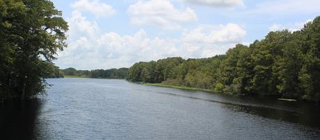 Withlacoochee River entre los condados Sumter y Citrus