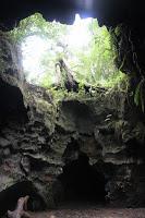 Cuevas en el Withlacoochee State Forest