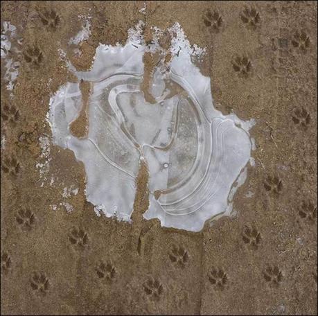 La condición por excelencia de la felicidad es no pensar en ella