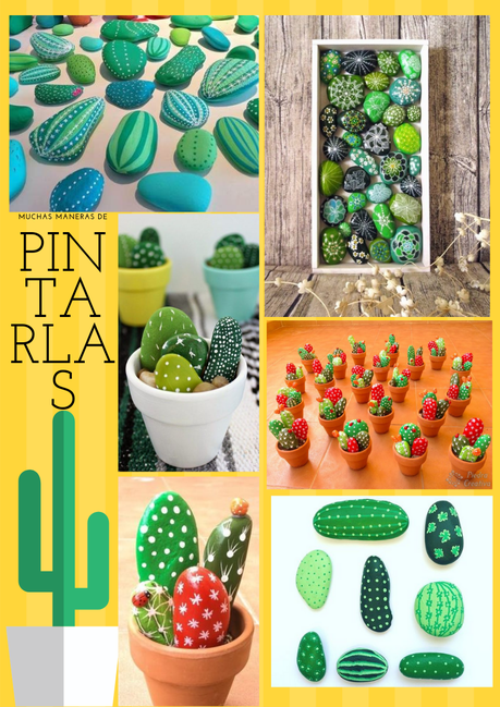 CACTUS CON PIEDRAS. AMOR A PRIMERA VISTA