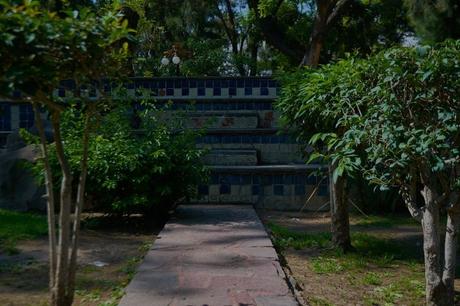 Los peces Koi de la Alameda “Juan Sarabia”