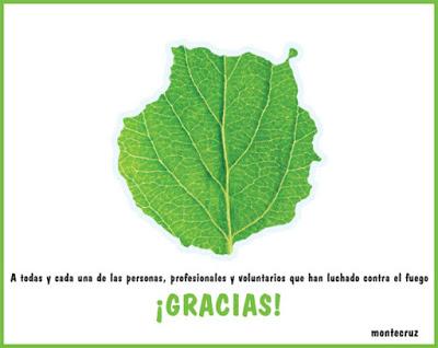 [SONRÍA, POR FAVOR] Al menos hoy jueves, 15 de agosto