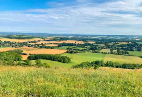 ▷ ¿Cómo es caminar por South Downs Way? English-countryside-scene.jpg.optimal ▷ ¿Cómo es caminar por South Downs Way?