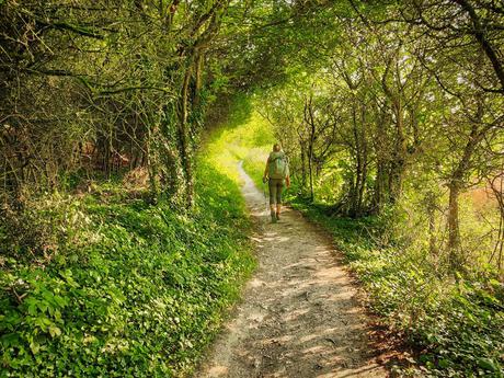 ▷ ¿Cómo es caminar por South Downs Way? Girl-walking-the-South-Downs-Way.jpg.optimal ▷ ¿Cómo es caminar por South Downs Way?