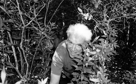 David Byrne: ¿Cómo Funciona la Música?