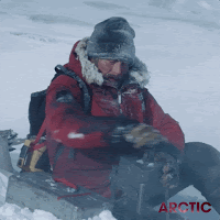 Cinecritica: Arctic