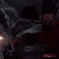 Cinecritica: Arctic