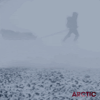 Cinecritica: Arctic