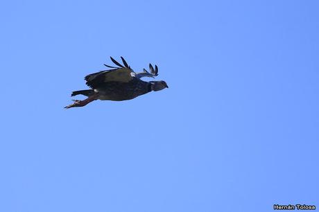 Por campos de Cañuelas (mayo 2019)