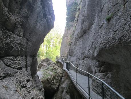 LA YECLA Y EL SABINAR DE ARLANZA