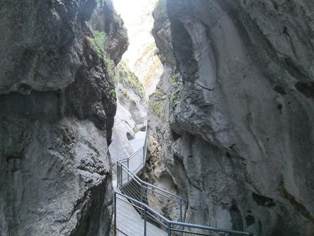 LA YECLA Y EL SABINAR DE ARLANZA LA YECLA Y EL SABINAR DE ARLANZA