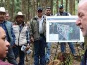 Fortalecen trabajos supervisión aprovechamiento forestal maderable edoméx