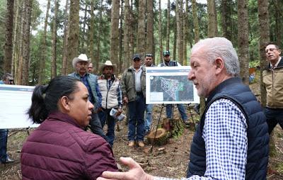 FORTALECEN TRABAJOS DE SUPERVISIÓN EN APROVECHAMIENTO FORESTAL MADERABLE EN EDOMÉX