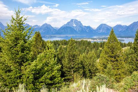 Jackson-Lake-Overlook.jpg.optimal ▷ Las mejores cosas que hacer en el Parque Nacional Grand Teton