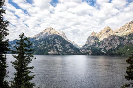Jenny-Lake-Overlook.jpg.optimal ▷ Las mejores cosas que hacer en el Parque Nacional Grand Teton