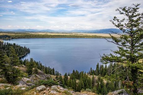 Jenny-Lake.jpg.optimal ▷ Las mejores cosas que hacer en el Parque Nacional Grand Teton