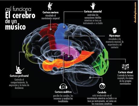 Música y Neurociencia III: ¿Qué le Hace la Música a Nuestro Cerebro?